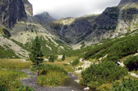 Valley With River in High Tatras / Vysoke Tatry