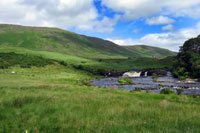 Irish Countryside