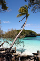 Isle of Pines in New Caledonia in the South Pacific